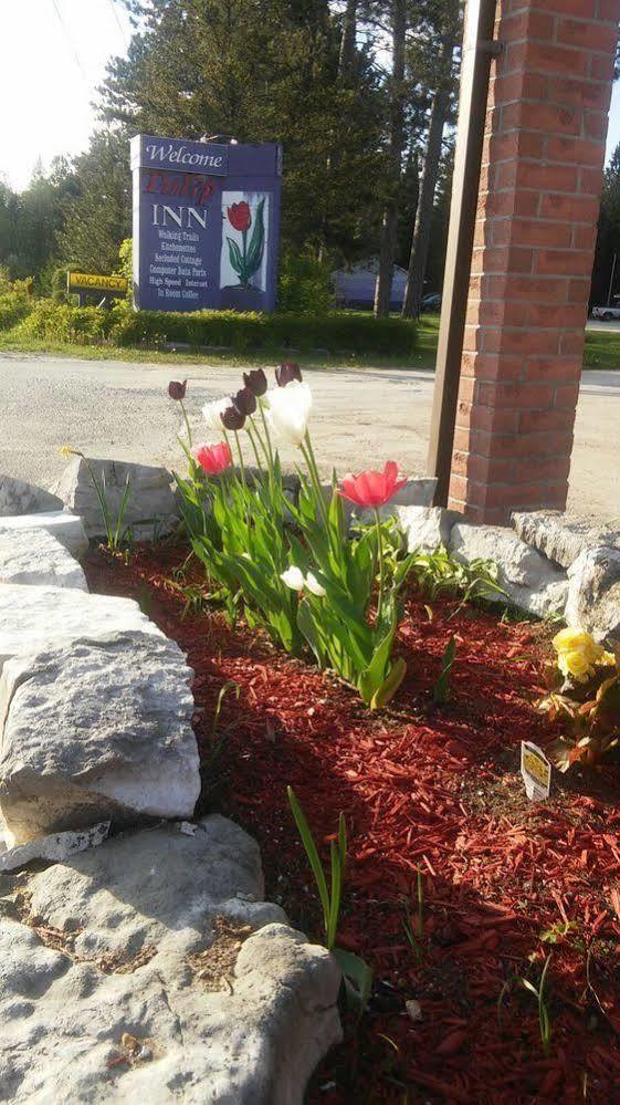 Tulip Inn Huntsville Exteriér fotografie